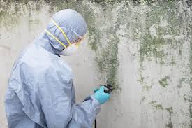 Best Mold Remediation for Healthcare Facilities  in England, AR